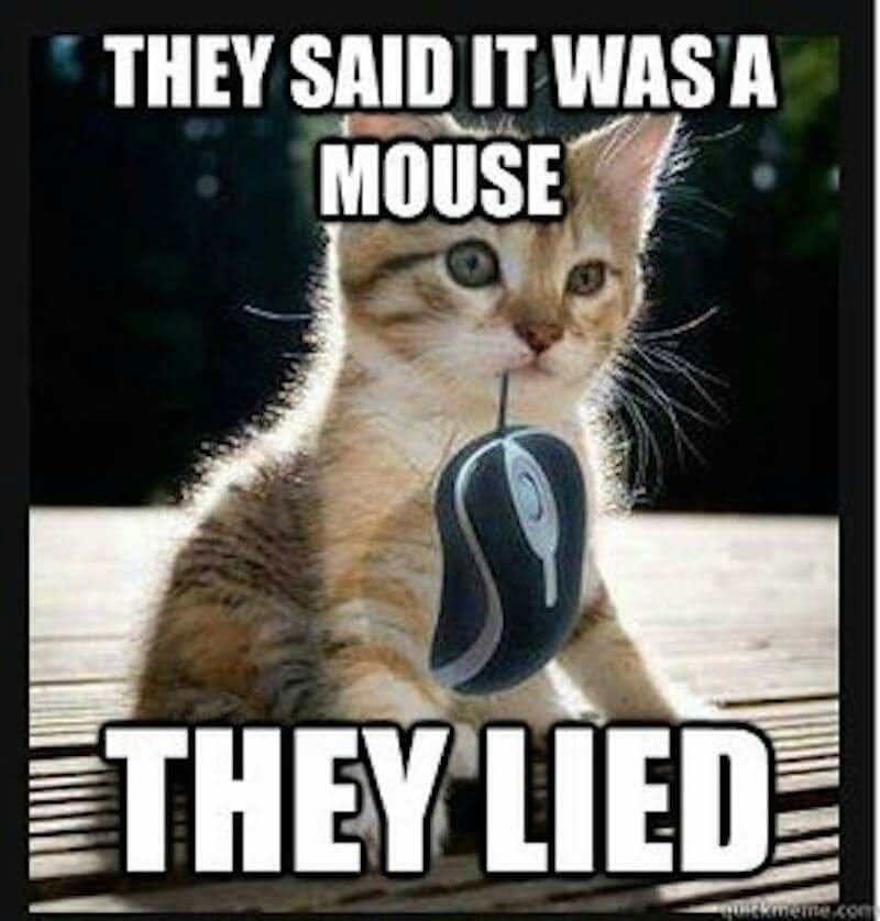 They Said It Was A They Lied Funny Mouse Meme Image