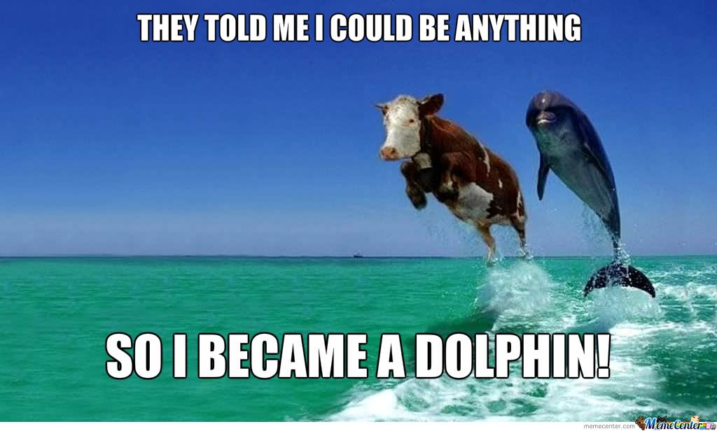 They Told Me I Could Be Anything So I Became A Dolphin Funny Dolphin Meme Image
