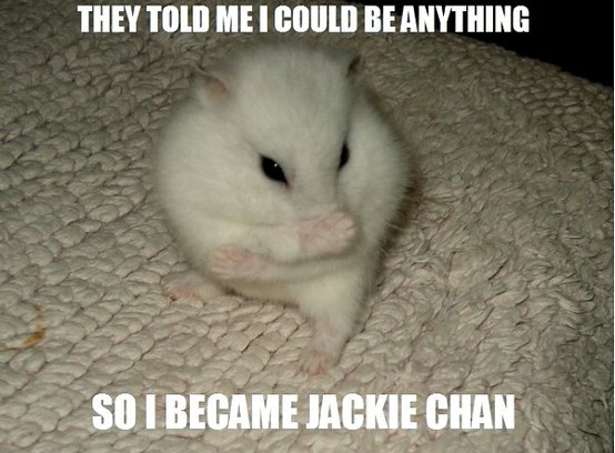 They Told Me I Could Be Anything So I Became Jackie Chan Funny Mouse Meme Image