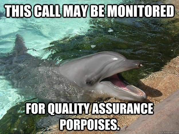 This Call May Be Monitored For Quality Assurance Porpoises Funny Dolphin Meme Image