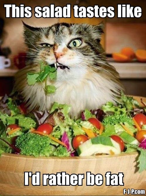 This Salad Tastes Like I'd Rather Be Fat Funny Eating Meme Image