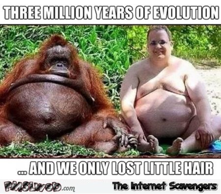 Three Million Years Of Evolution And We Only Lost Little Hair Funny Nonsense Meme Picture For Whatsapp