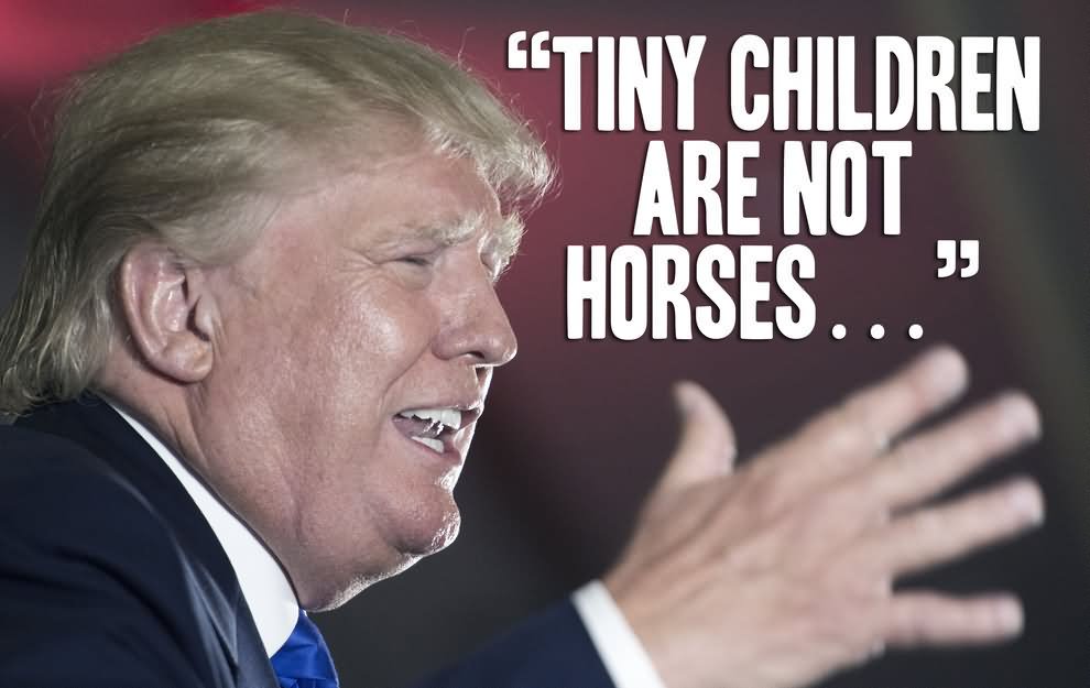 Tiny Children Are Not Horse Funny Donald Trump Photo