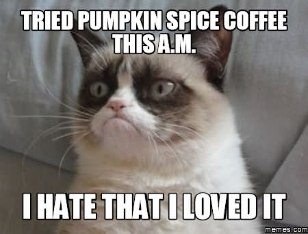Tried Pumpkin Spice Coffee This A.M. I Hate That I Loved It Funny Pumpkin Meme Image