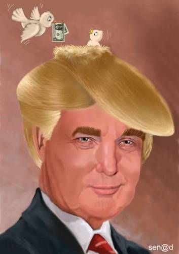 Very Funny Photoshop Donald Trump Nest Hair Picture