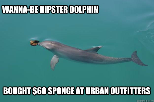 Wanna-Be Hipster Dolphin Bought Dollar 60 Sponge At Urban Outfitters Funny Dolphin Meme Picture