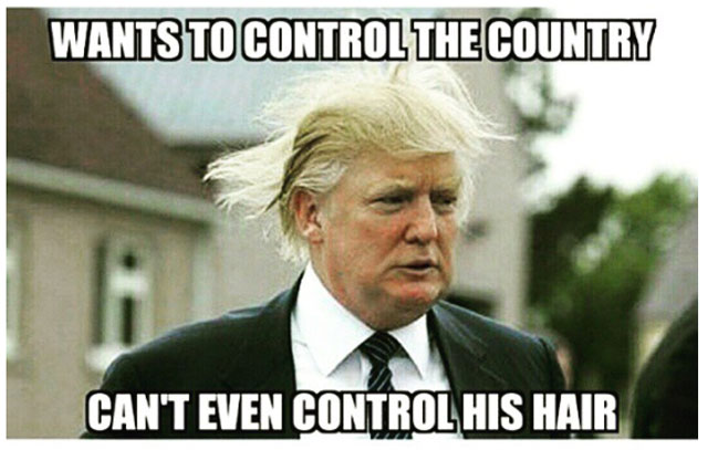 Wants To Control The Country Can't Even Control His Hair Funny Donald Trump Image