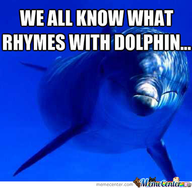 We All Know What Rhymes With Dolphin... Funny Dolphin Meme Image