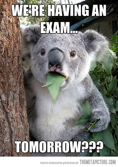 We Are Having An Exam Tomorrow Funny Eating Meme Image