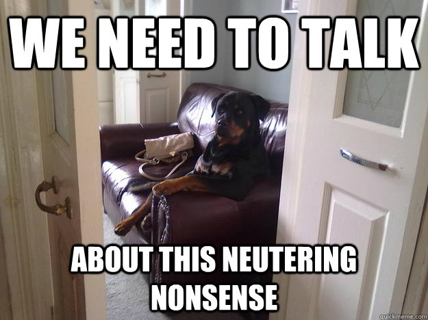 We Need To Talk About This Neutering Nonsense Funny Meme Picture