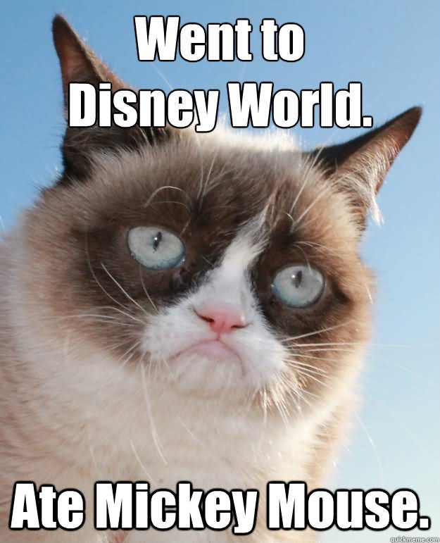 Went To Disney World Ate Mickey Mouse Funny Mouse Meme Photo