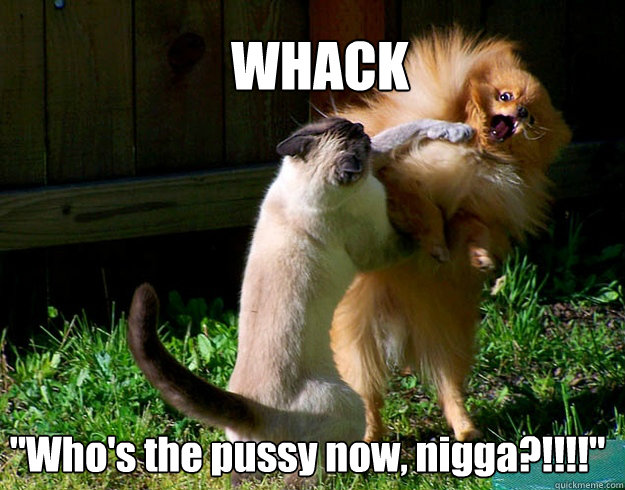 Whack Who's The Pussy Now Nigga Funny Fight Meme Image