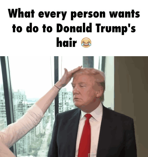 What Every Person Wants To Do To Donald Trump's Hair Funny Donald Trump Image