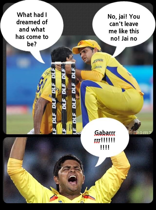 What Had I Dreamed Of And What Has Come To Be Funny Cricket Meme Picture.