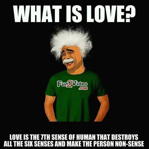 What Is Love Funny Love Meme Picture