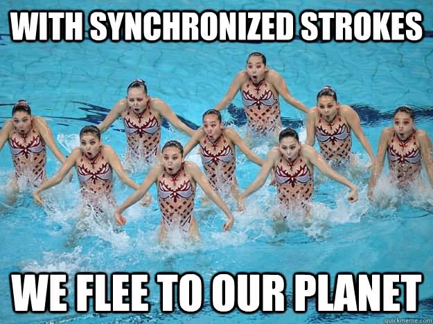 With Synchronized Strokes We Flee To Our Planet Funny Swimming Meme Image