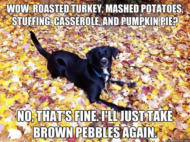 Wow Roasted Turkey Mashed Potatoes Stuffing Casserole And Pumpkin Pie Funny Pumpkin Meme Image