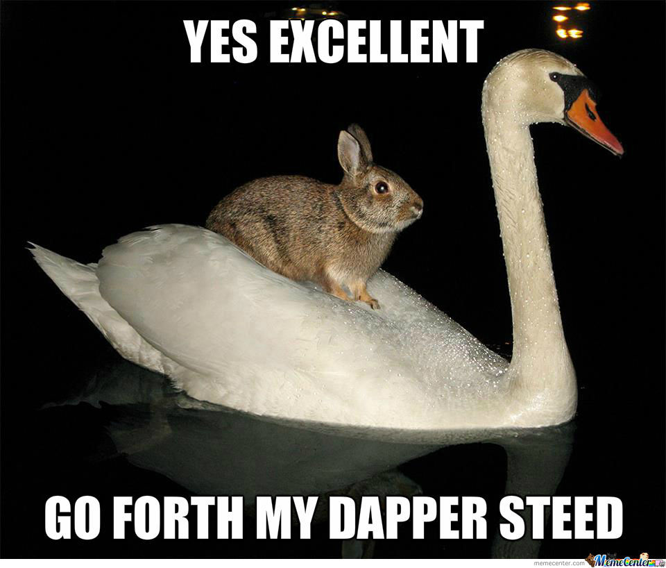 Yes Excellent Go Forth My Dapper Steed Funny Bunny Meme Image
