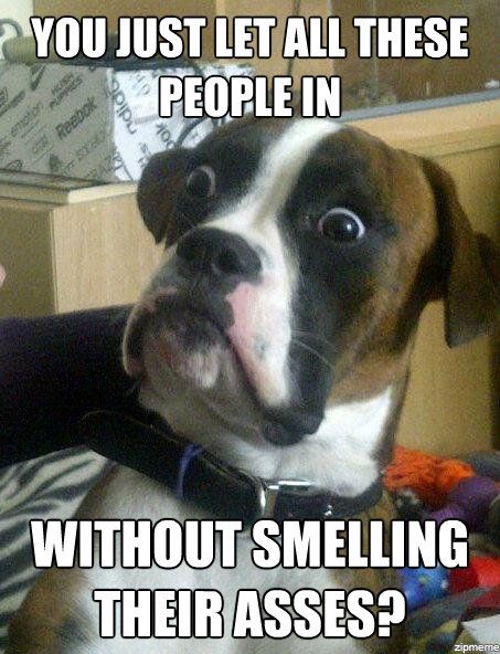 You Just Let All These People In Without Smelling Their Asses Funny Dog Meme Picture