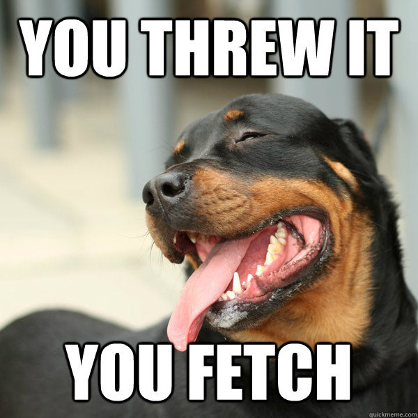 You Threw It You Fetch Funny Dog Meme Picture