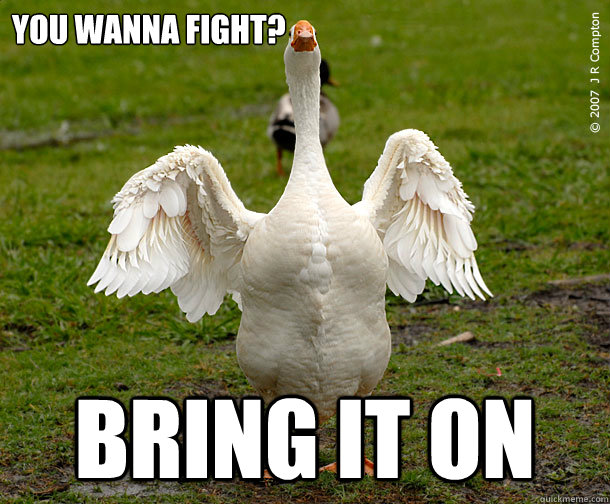 You Wanna Fight Bring It On Funny Fight Meme Picture