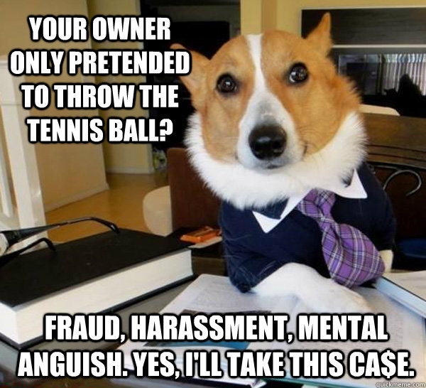 Your Owner Only Pretended To Throw The Tennis Ball Funny Tennis Meme Image