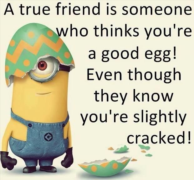 A True Friends Is Someone Who Thinks You Are A Good Egg Even Though They Know You Are Slightly Cracked Funny Best Friend Photo