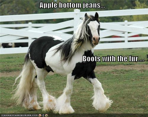 Apple Bottom Jeans Boots With The Fur Funny Boots Meme Picture