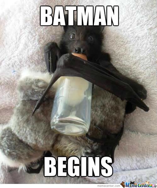 Batman Begins Funny Bat Meme Image