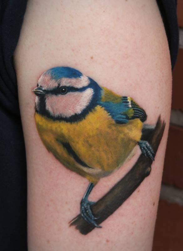 Beautiful Sparrow Bird Tattoo On Left Bicep by Anders Grucz