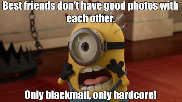 Best Friends Don’t Have Good Photos With Each Other Only Blackmail Only Hardcore Funny Image