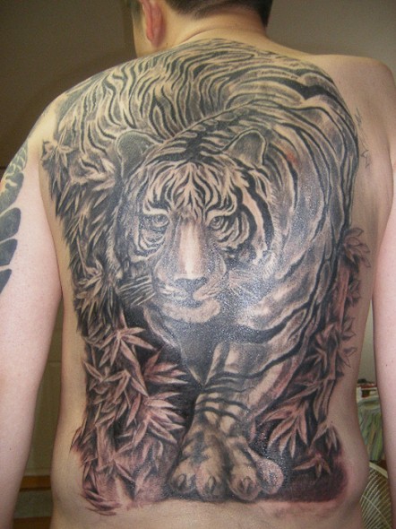 Black And Grey Japanese Tiger Tattoo On Full Back