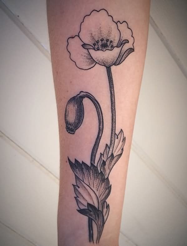 Black And Grey Opium Poppy Tattoo Design For Arm