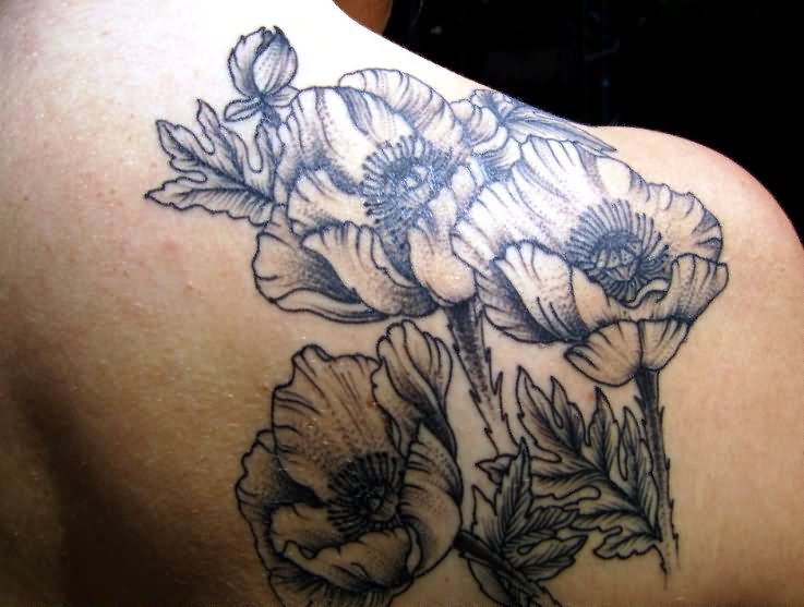 Black And Grey Poppy Flowers Tattoo On Right Back Shoulder