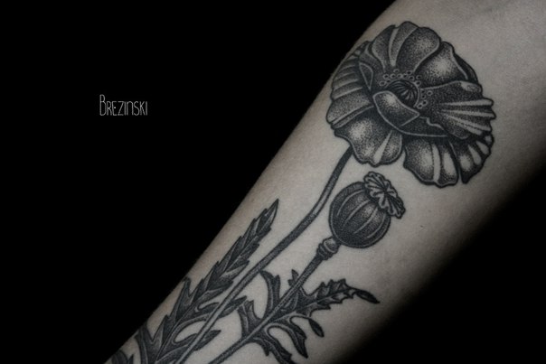 Black And White Poppy Flowers Tattoo Design For Forearm By Ilya Brezinski