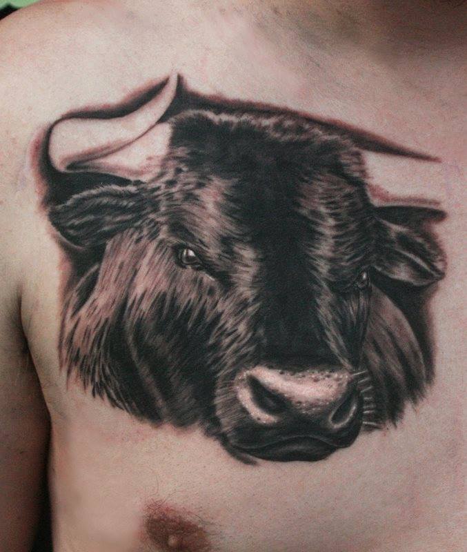 Black Ink Bull Head Tattoo On Front Shoulder by Anders Grucz