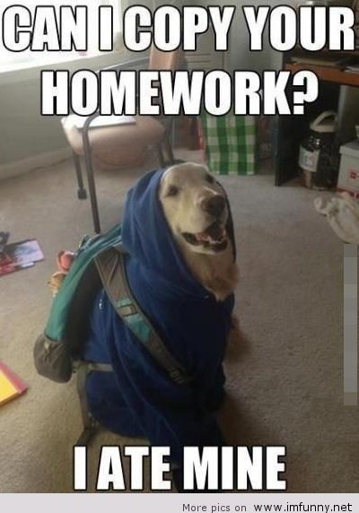 Can I Copy Your Homework I Ate Mine Funny School Meme Image