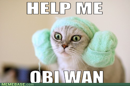 Cat Funny Star War Meme Image