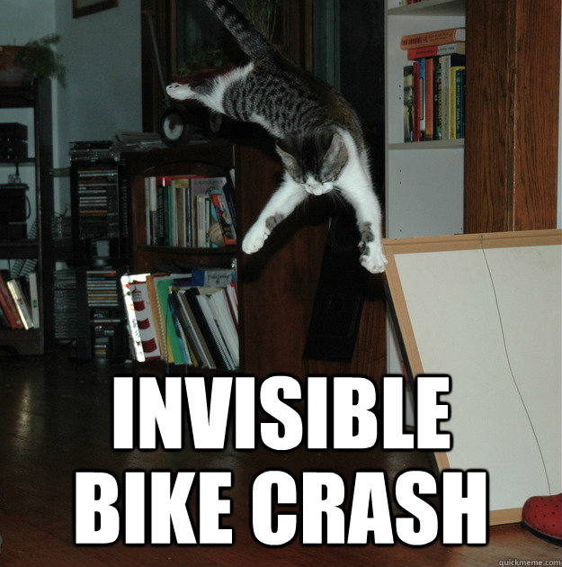 Cat Invisible Bike Crash Very Funny Meme Picture
