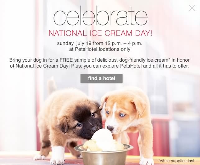 Celebrate National Ice Cream Day Greetings Image