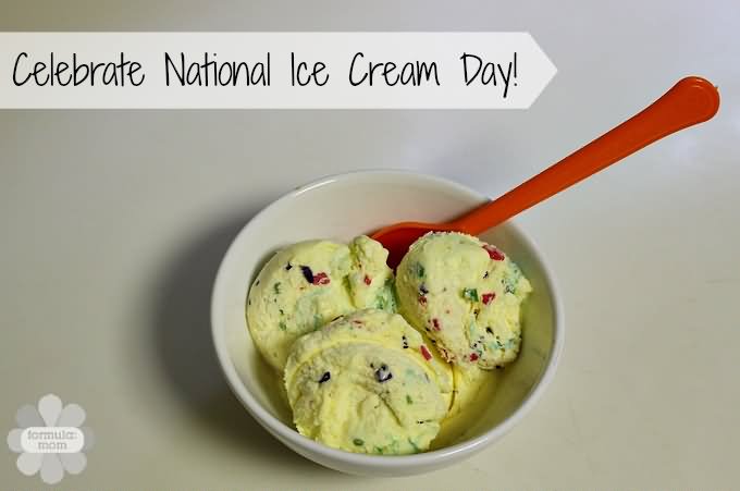 Celebrate National Ice Cream Day Ice Cream For You