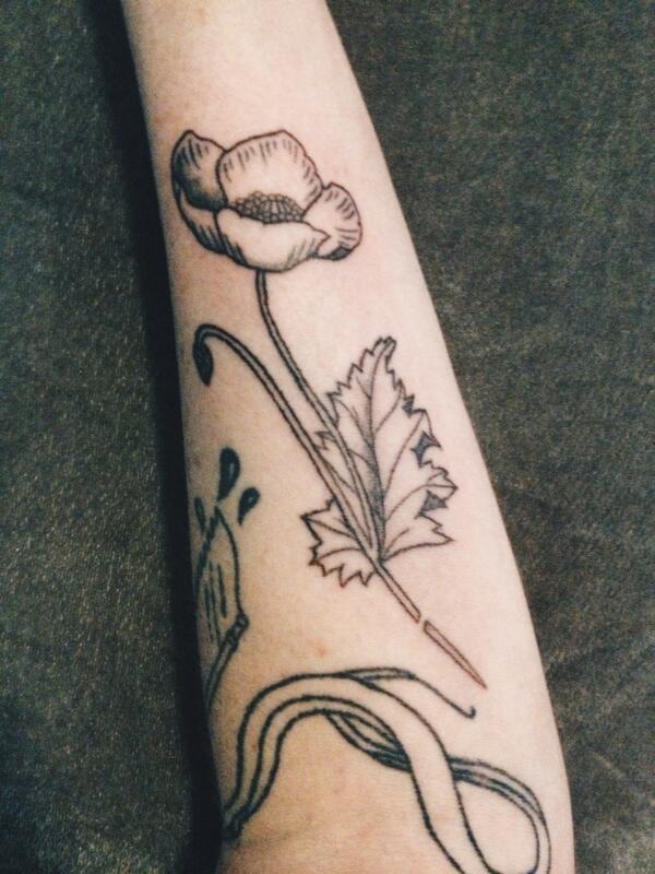 Classic Opium Poppy Tattoo Design For Sleeve