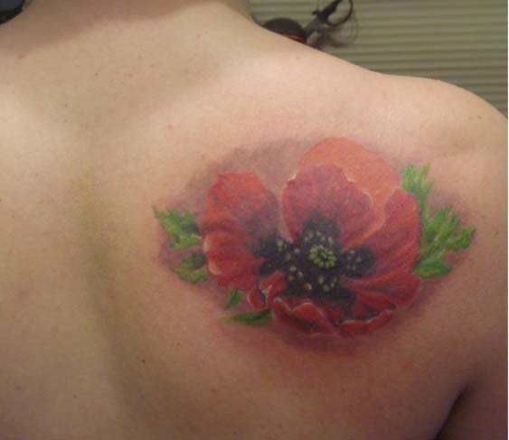 Classic Poppy Flower Tattoo On Right Back Shoulder