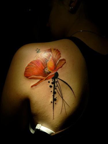 Cool Opium Poppy Tattoo On Right Back Shoulder