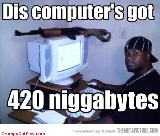 Dis Computer's Got 420 Niggabytes Funny American Meme Picture
