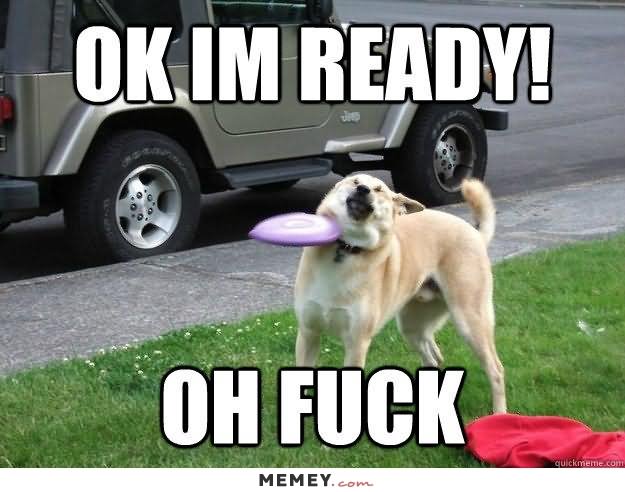 Dog Frisbee Fail Funny Fail Meme Picture