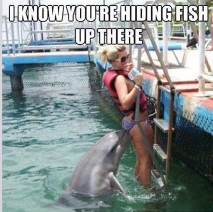 Dolphin Fail Funny Meme Picture
