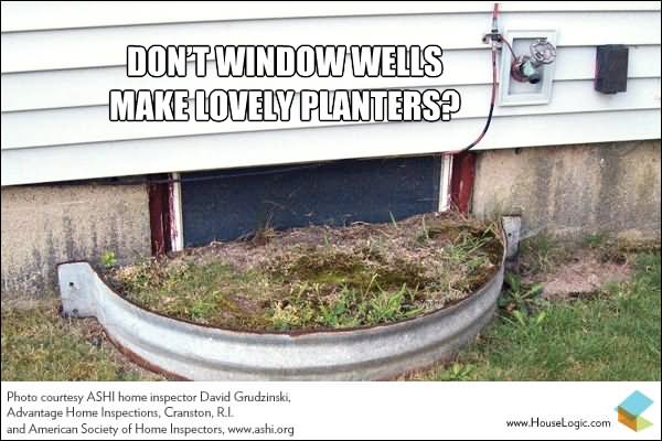 Don't Window Wells Make Lovely Planters Funny Fail Meme Image