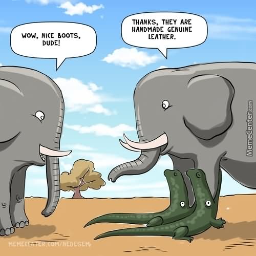 Elephant With Crocodile Boots Funny Meme Picture