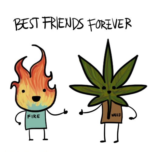 Fire And Weed Funny Best Friend Picture